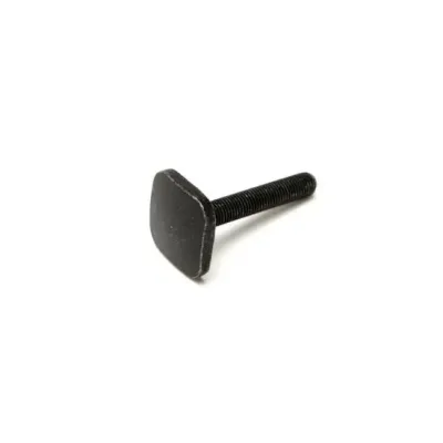 Thule 50236 Vis en T 40mm pour OutRide