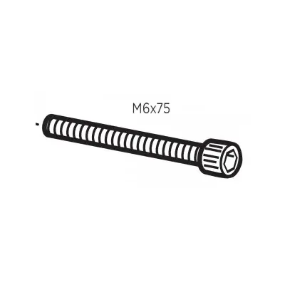 Thule 50618 Vis M6x75 pour RideOn