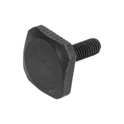 Thule 52526 Boulon M6x20mm pour galerie Trail